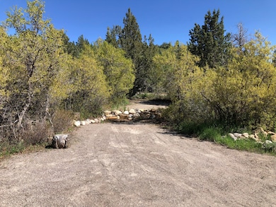 149 Meadow Rd unit 149, Mount Pleasant, UT 84647 - photo 4