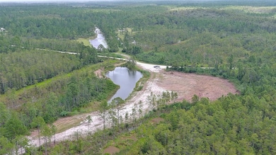 4706 Omega Ranch Rd, New Smyrna Beach, FL 32168 - photo 5