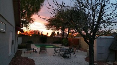 Tranquil Backyard