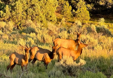 0 Hwy 96 and 595, Regina, NM 87017 - photo 4