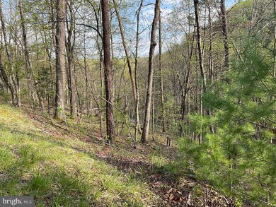 TBD Johnston, Basye, VA 22810 - photo 3