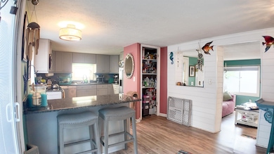 Kitchen with stainless steel dishwasher, wood fini
