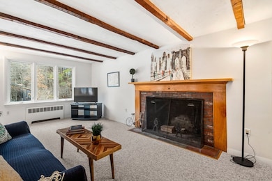 171 Dutton Rd, Sudbury, MA 01776 - photo 7