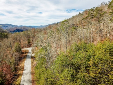 0 Wildcat Hollow Rd unit 11611764, New Tazewell, TN 37825 - photo 2