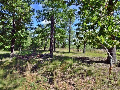 27940 E Ficken Ridge Rd, Proctor, OK 74457 - photo 4