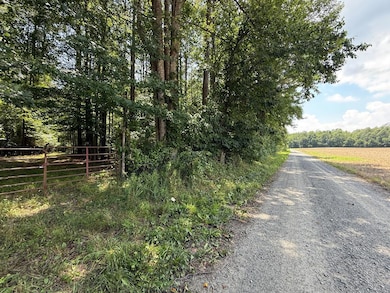 37-39 Field Trial Rd, Lancaster, VA 22503 - photo 2