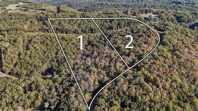 Tract 1 Everest Rd, Ruth A Township, MO 65656 - photo 3