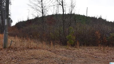 0 Renfroe Rd unit 21407810, Talladega, AL 35160 - photo 2