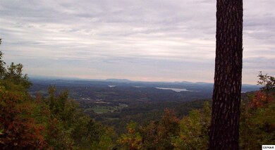 Additional View 4