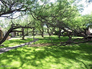 What an Oasis!