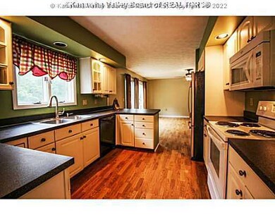 58 Mannon Dr, Alum Creek, WV 25003 - photo 5