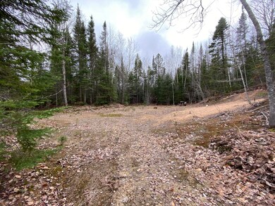 cleared camp site