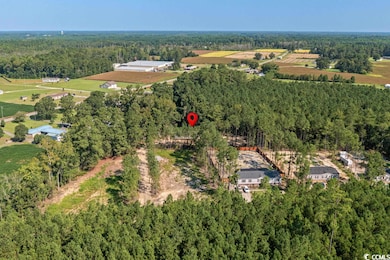 5425 Carroll Todd Rd unit TBD Carroll Todd Lot, Conway, SC 29526 - photo 3