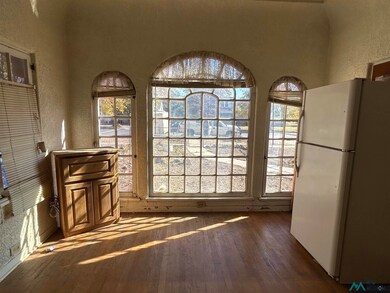 703 N Halagueno St, Carlsbad, NM 88220 - photo 4