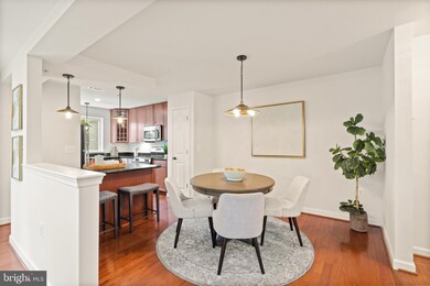 4081 S Four Mile Run Dr unit 304, Arlington, VA 22204 - photo 5