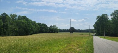 0 Dorsch Rd unit RTC2658840, Manchester, TN 37355 - photo 2