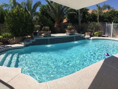 Fabulous pool area