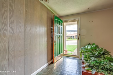 313 Bud St, Athens, TN 37303 - photo 6