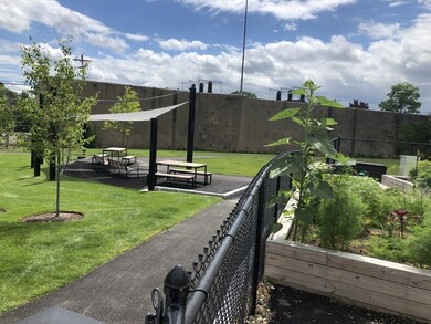 52 Irving St unit 1B, Watertown, MA 02472 - photo 5