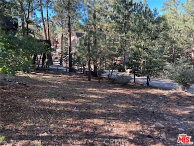 0 Kern Ave unit 25621451, Big Bear, CA 92386 - photo 7