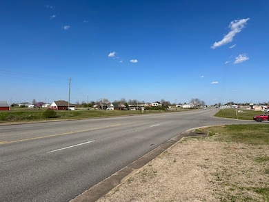 000 Hwy 43, Hackleburg, AL 35564 - photo 3