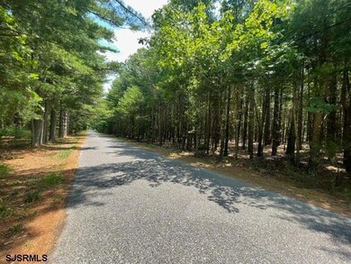 0 Columbia Rd unit 586593, Egg Harbor City, NJ 08215 - photo 5