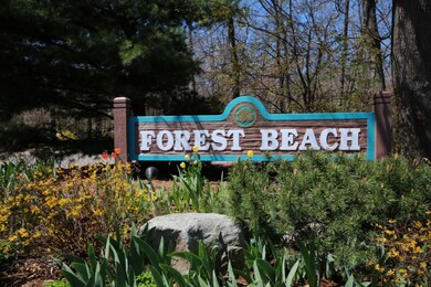Welcome To Forest Beach