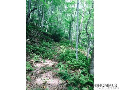 trail