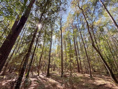 Mendez Rd, Willis, TX 77378 - photo 5