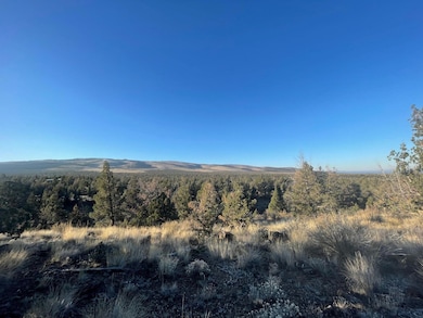 0 SE Almond Ln SE unit 220212321, Prineville, OR 97754 - photo 5