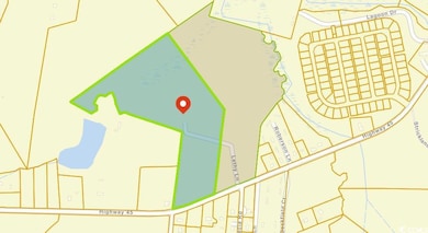 712 Highway 45, Loris, SC 29569 - photo 5