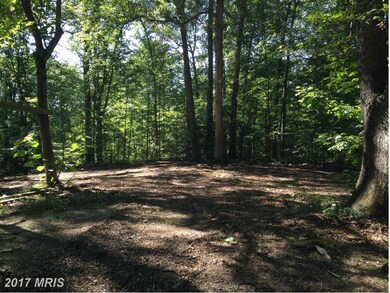 1539 Brooke Rd, Stafford, VA 22554 - photo 7