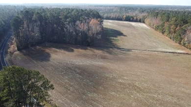 Gaddy Rd, Fairmont, NC 28340 - photo 5