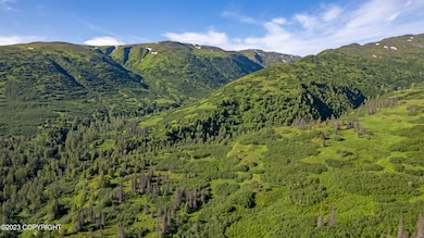 000 McWilliams-gold Creek Trail, Talkeetna, AK 99676 - photo 2