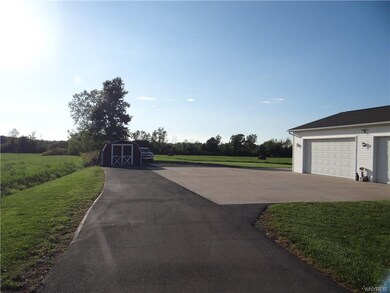 Black top driveway to 12 x 18 shed, with cement fl