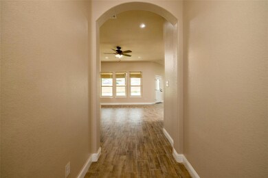 908 Avagail Ave, Springtown, TX 76082 - photo 7