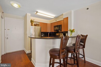 Metropolitan Condos unit 505, Washington, DC 20037 - photo 3