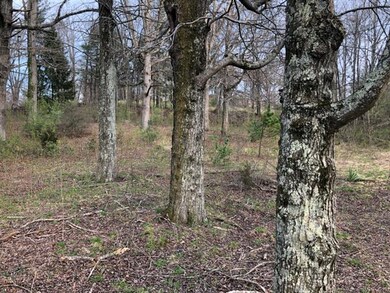 110 Baldwin Ave, Hendersonville, NC 28792 - photo 3