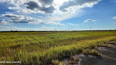 1278 Ebony Ct SW, Palm Bay, FL 32908 - photo 2