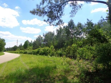 0 Pico Rd, Franklinton, LA 70438 - photo 4