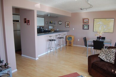 Open Concept - Galley style kitchen