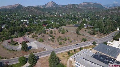 0 Calle de Rincon unit 764232, Durango, CO 81301 - photo 4