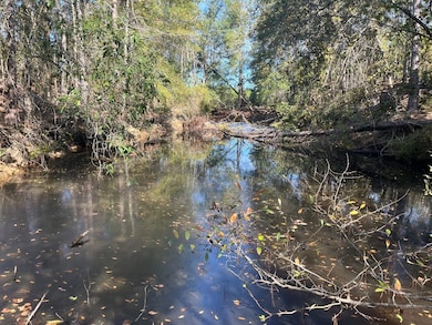 0 Jamestown Rd unit 25323571, Waycross, GA 31503 - photo 6