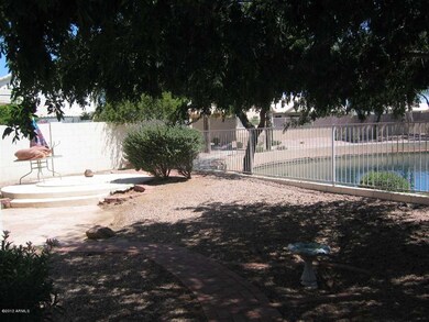 Backyard 2