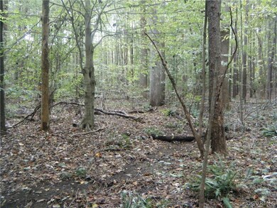 5757 Moore Creek Rd, Powhatan, VA 23139 - photo 6