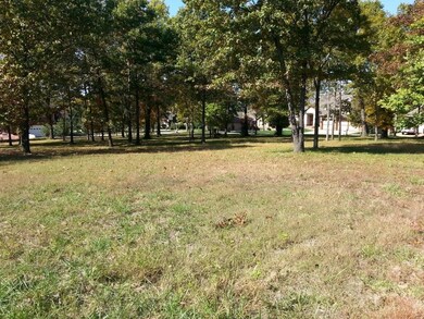 Lot 266 Little Aunts Creek, Kimberling City, MO 65686 - photo 7