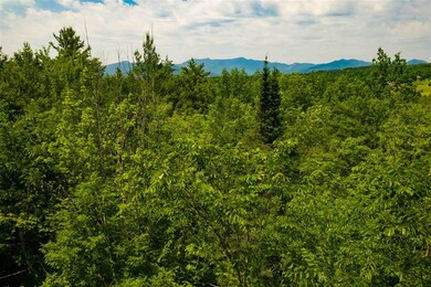 TBD Lang Farm Rd, Stowe, VT 05672 - photo 5