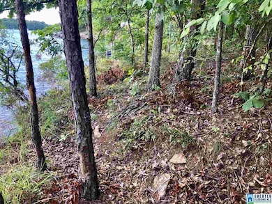 0 County Road 3292 unit 1 854493, Wedowee, AL 36278 - photo 5