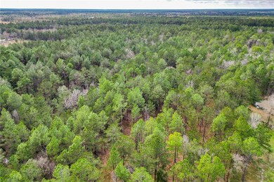 LOT C Boyd Rd, Covington, LA 70435 - photo 6