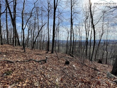 TBD Dr, Crumpler, NC 28617 - photo 6